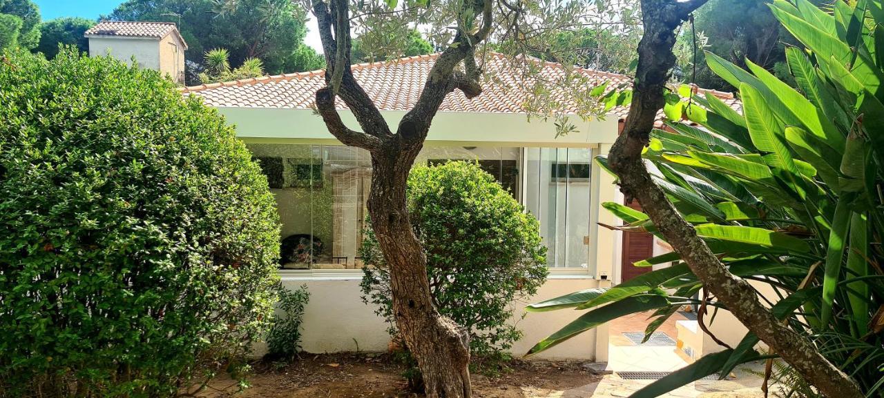 Jungle House - Pineta Is Morus Villa ซานตา มาร์เกรีตา ดิ ปูลา ภายนอก รูปภาพ